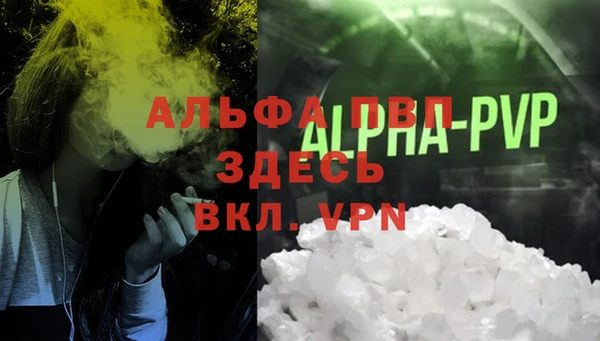 Альфа ПВП Белокуриха
