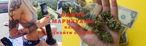 Альфа ПВП Белокуриха