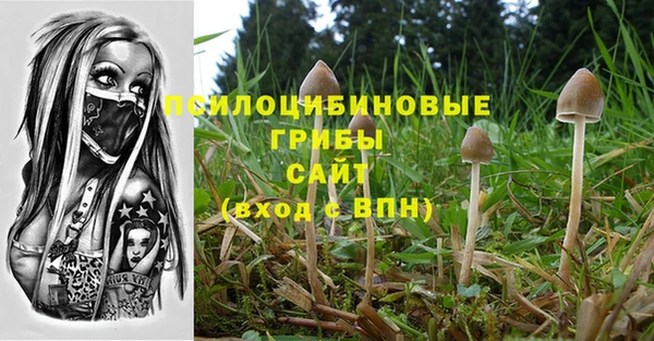 спиды Белоозёрский