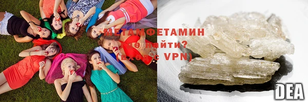 мдпв Ельня