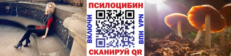 дарнет шоп  Вельск  Псилоцибиновые грибы Magic Shrooms 
